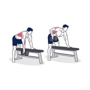 Dumbbell-Bent-Over-Row-