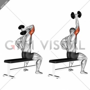 triceps one arm dumbbell extension